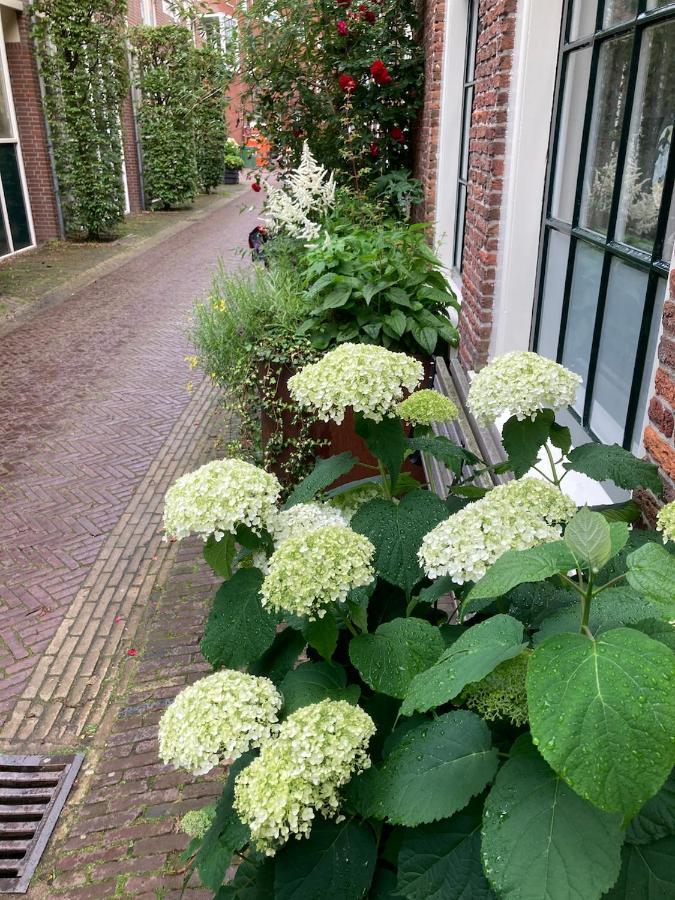 Guesthouseone Haarlem Exterior photo